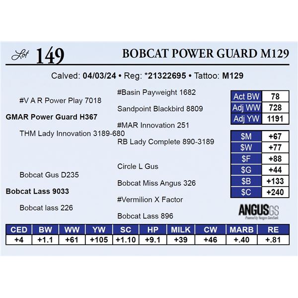 Bobcat Power Guard M129