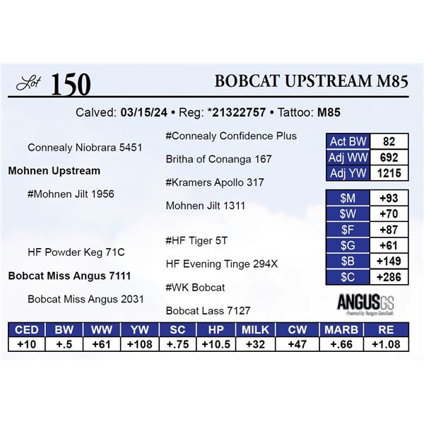 Bobcat Upstream M85
