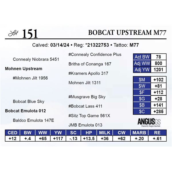 Bobcat Upstream M77