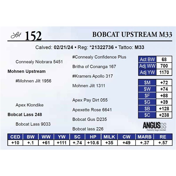 Bobcat Upstream M33