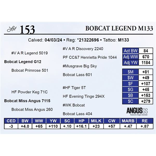 Bobcat Legend M133