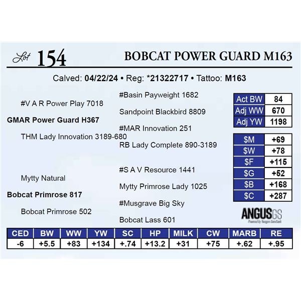 Bobcat Power Guard M163