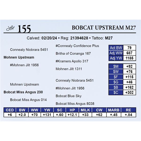 Bobcat Upstream M27