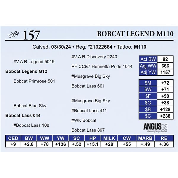 Bobcat Legend M110