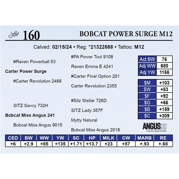 Bobcat Power Surge M12