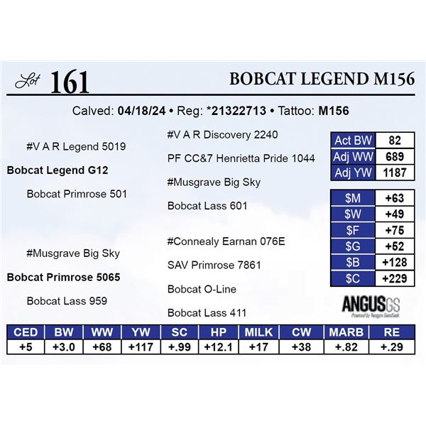 Bobcat Legend M156