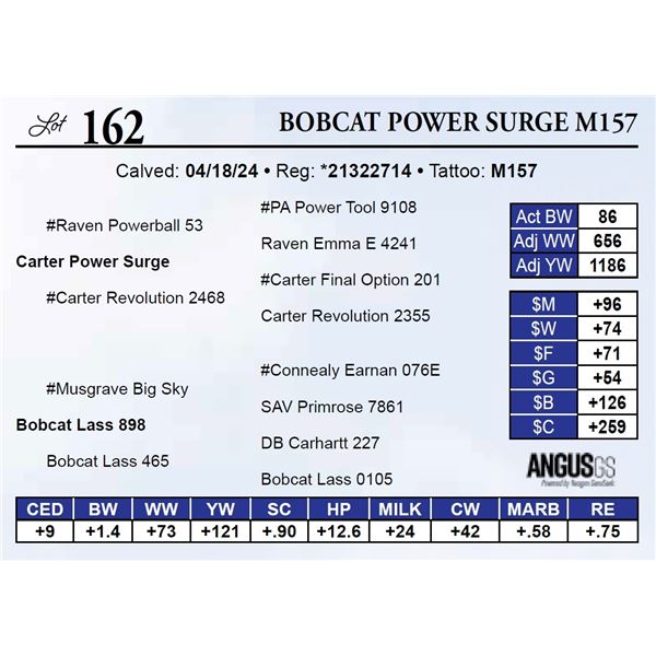 Bobcat Power Surge M157