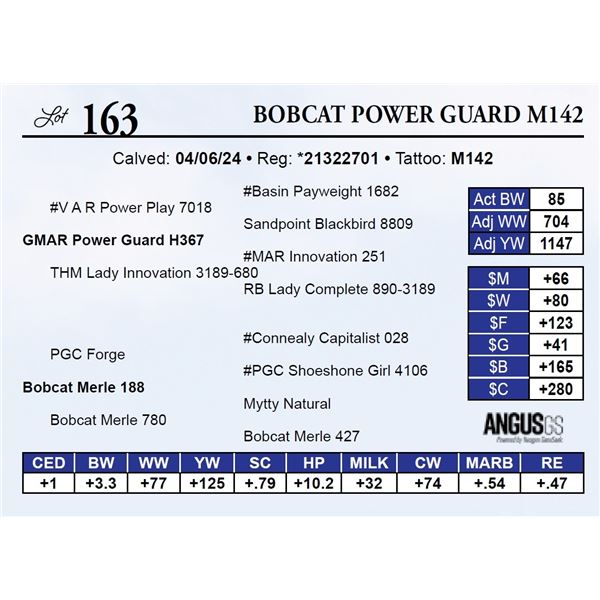 Bobcat Power Guard M142