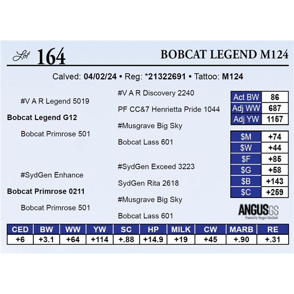Bobcat Legend M124