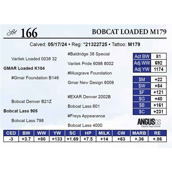 Bobcat Loaded M179