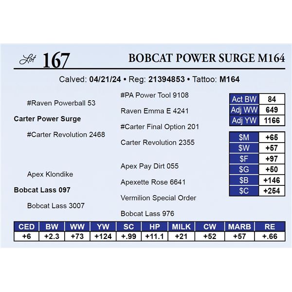 Bobcat Power Surge M164