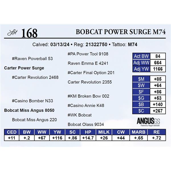 Bobcat Power Surge M74