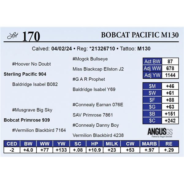 Bobcat Pacific M130