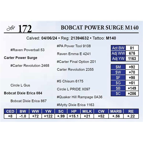 Bobcat Power Surge M140