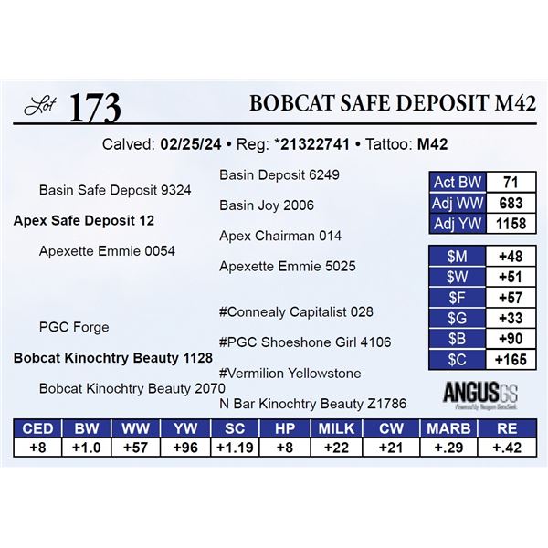 Bobcat Safe Deposit M42