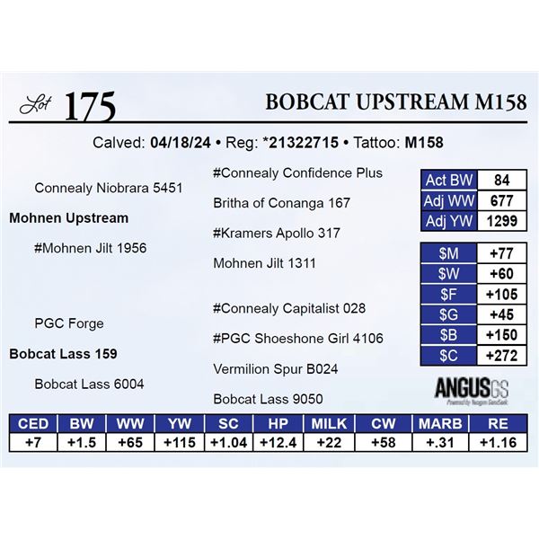 Bobcat Upstream M158