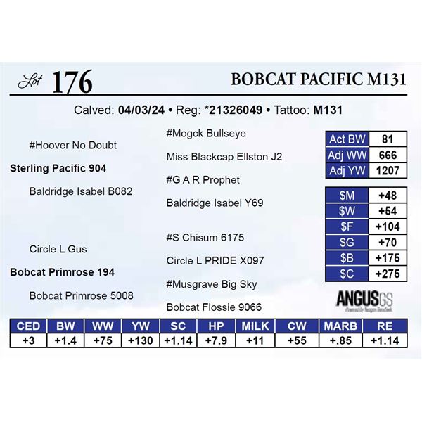 Bobcat Pacific M131