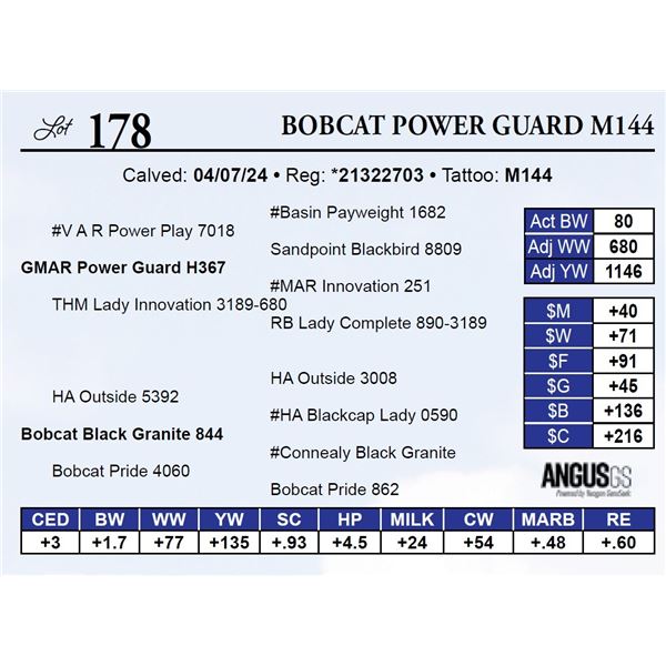 Bobcat Power Guard M144