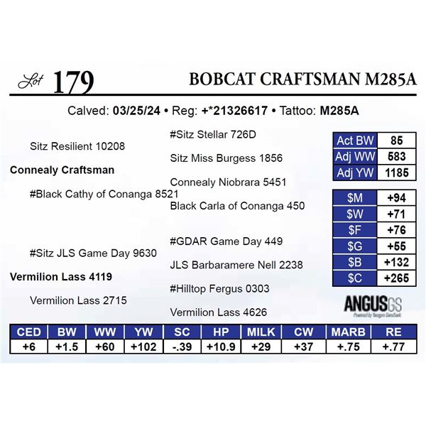 Bobcat Craftsman M285A
