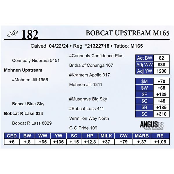 Bobcat Upstream M165