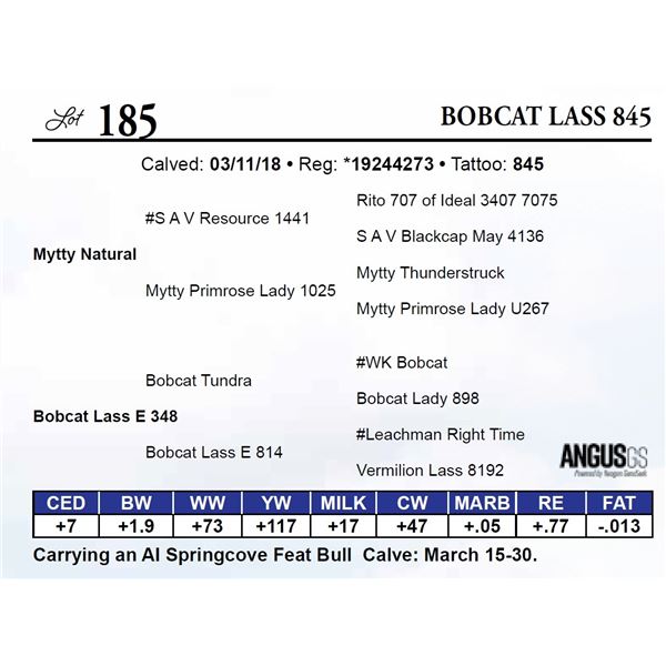 Bobcat Lass 845