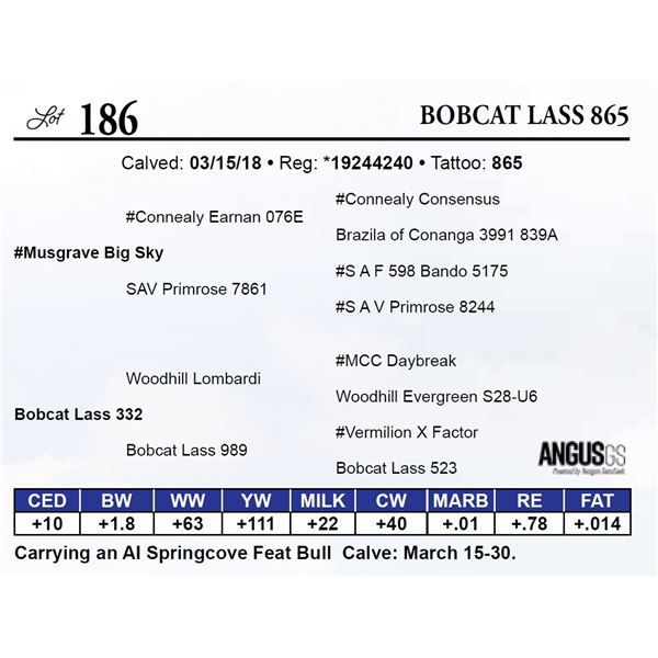 Bobcat Lass 865
