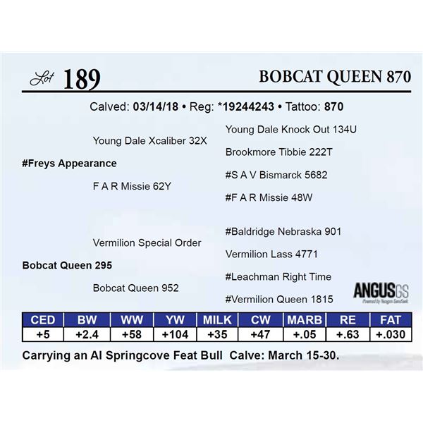 Bobcat Queen 870