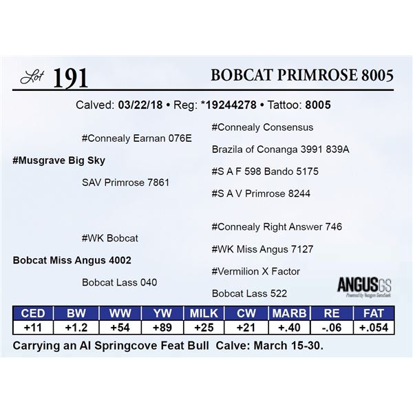 Bobcat Primrose 8005