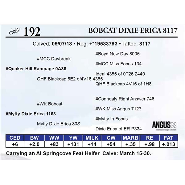 Bobcat Dixie Erica 8117