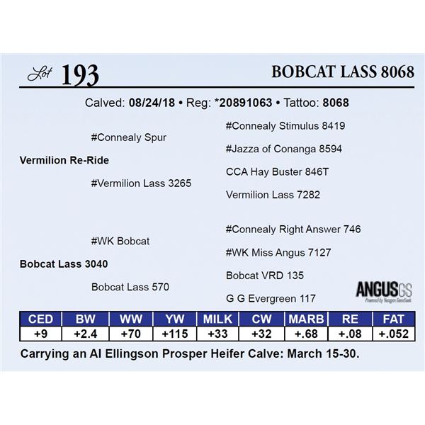 Bobcat Lass 8068