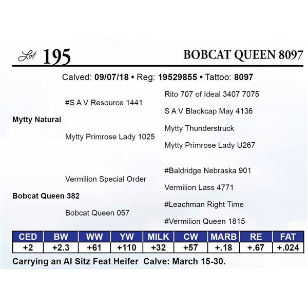 Bobcat Queen 8097