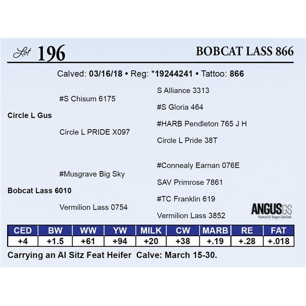 Bobcat Lass 866