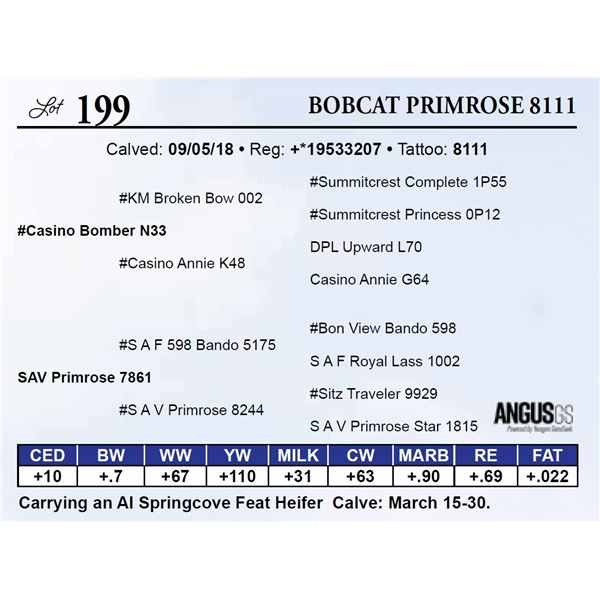Bobcat Primrose 8111