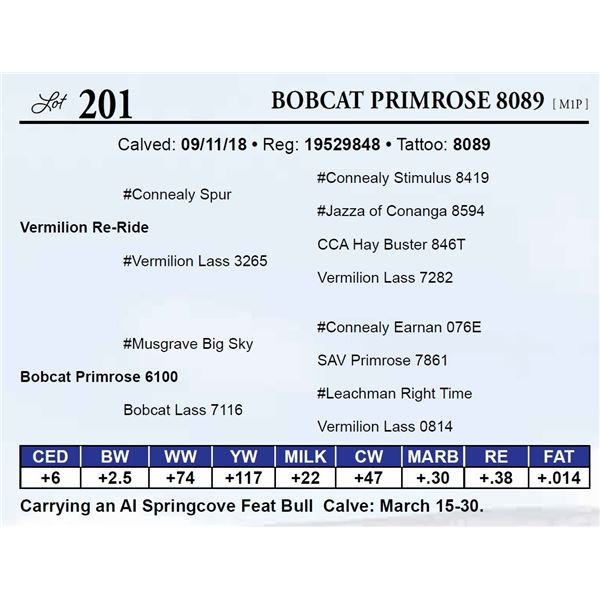 Bobcat Primrose 8089