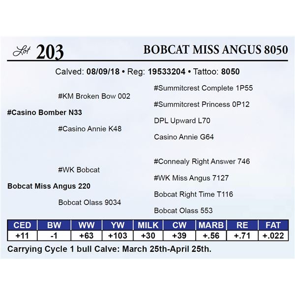 Bobcat Miss Angus 8050