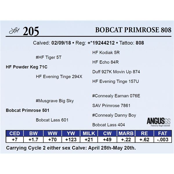 Bobcat Primrose 808
