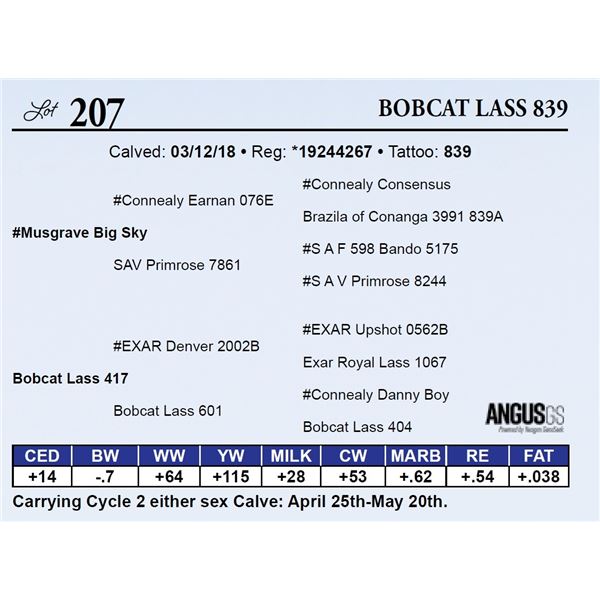 Bobcat Lass 839