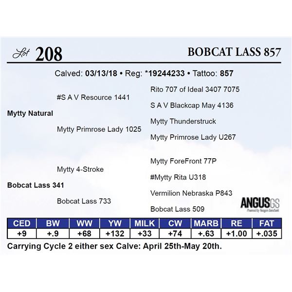 Bobcat Lass 857