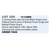 Image 1 : 12 hd 2 Coming 3 yr old Bred Cows