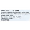 Image 1 : 35 hd 2 Coming 3 yr old Bred Cows