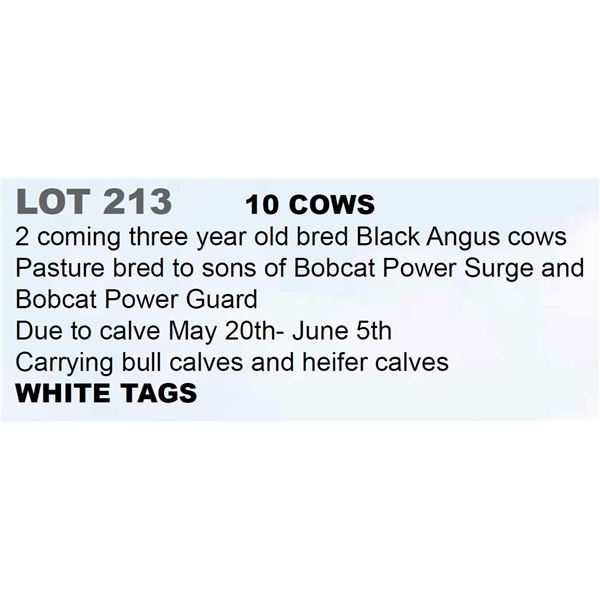 10 hd 2 Coming 3 yr old Bred Cows