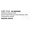 Image 1 : 50 hd Bred Heifers