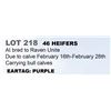 Image 1 : 46 hd Bred Heifers