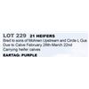 Image 1 : 21 hd Bred Heifers