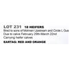 Image 1 : 18 hd Bred Heifers