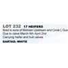 Image 1 : 17 hd Bred Heifers