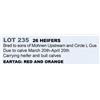 Image 1 : 26 hd Bred Heifers