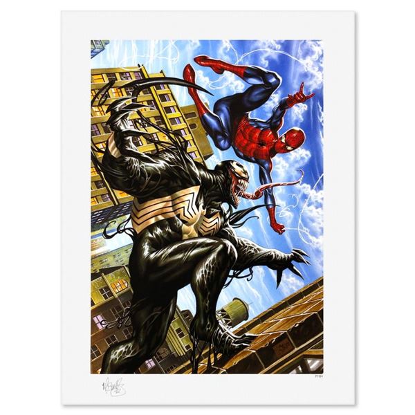 Spider-Man vs Venom by Marvel Comics