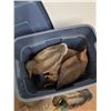 Image 3 : Duck Decoys, Plastic Storage Tote with Lid 21" x 15" x 16", Cannot Ship