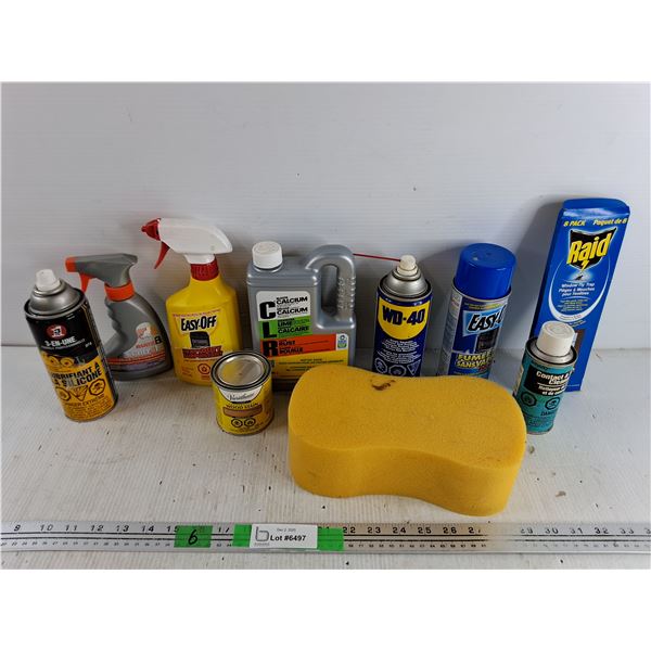 Raid Window Fly Trap, Heavy Duty Oven Cleaner, Large Sponge, WD40, 3 in 1 Silicone Lubricant, Misc